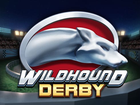 وائلڈ ہاؤنڈ ڈربی game icon